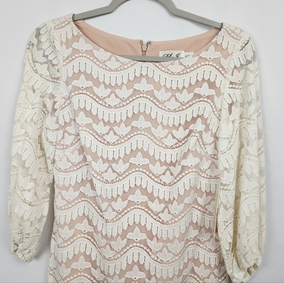 NWT Eliza J White Lace Dress Size 6 - Picture 4 of 14